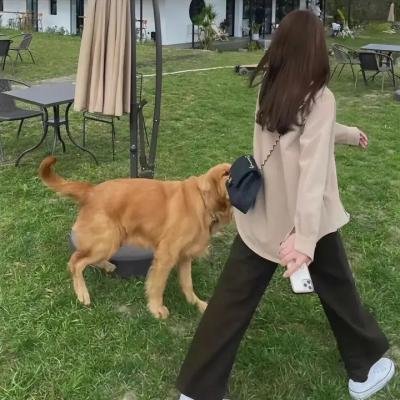 最后的维米尔